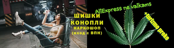 ПСИЛОЦИБИНОВЫЕ ГРИБЫ Богданович
