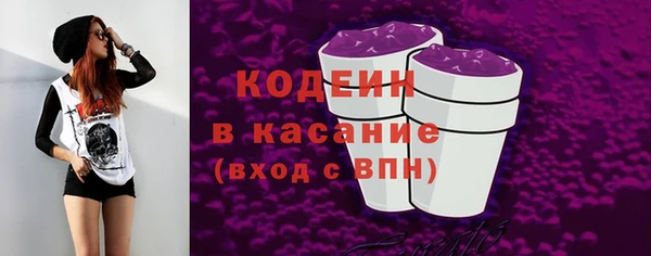 ПСИЛОЦИБИНОВЫЕ ГРИБЫ Богданович