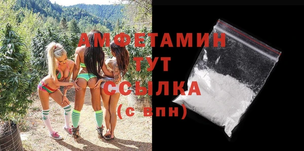 ПСИЛОЦИБИНОВЫЕ ГРИБЫ Богданович