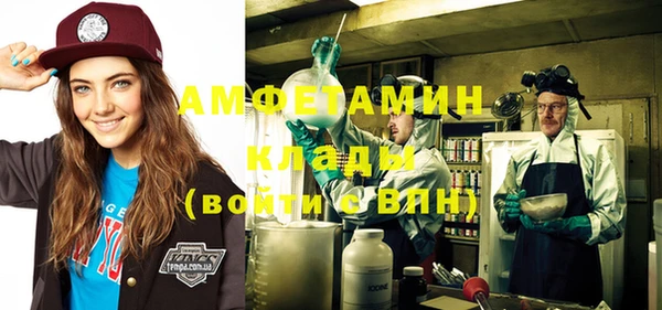 ПСИЛОЦИБИНОВЫЕ ГРИБЫ Богданович