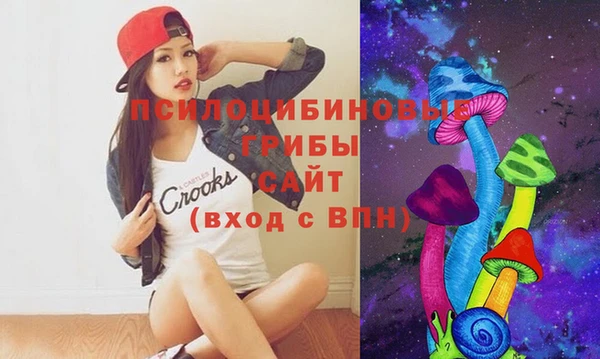 ПСИЛОЦИБИНОВЫЕ ГРИБЫ Богданович