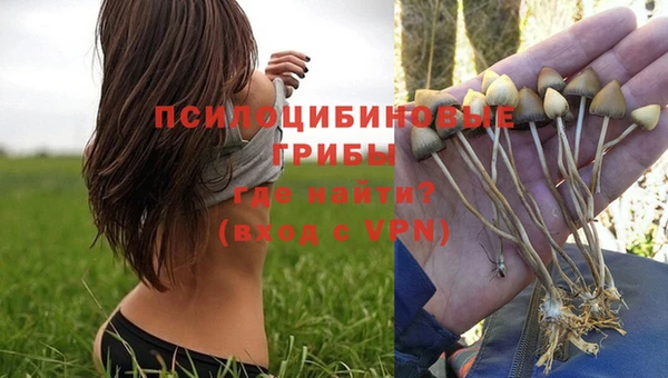 скорость Богородск