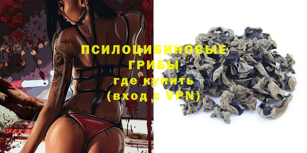 ПСИЛОЦИБИНОВЫЕ ГРИБЫ Богданович