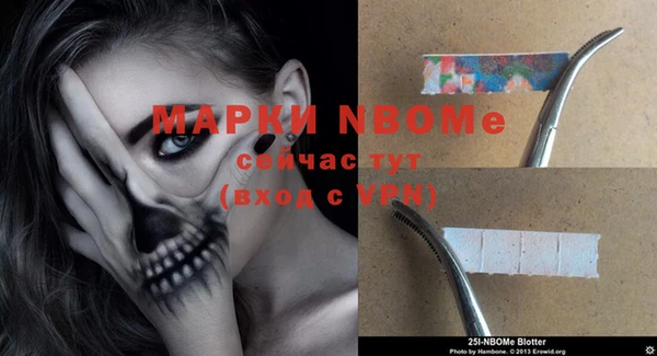 ПСИЛОЦИБИНОВЫЕ ГРИБЫ Богданович