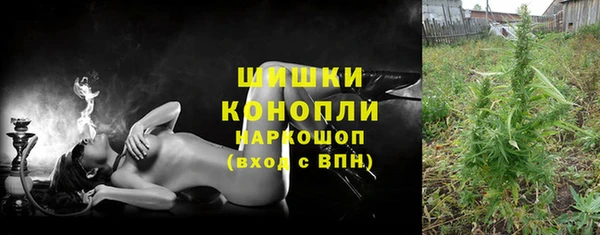 ПСИЛОЦИБИНОВЫЕ ГРИБЫ Богданович